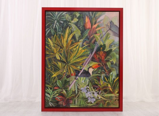 Široký červený plovoucí rám s obrazem Tukan od Jaromíra Seidla