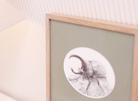 Zelená oválná pasparta a rám z přírodního dubu s kresbou brouka skvěle ladí