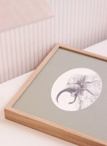 Rám na kresbu brouka s oválnou paspartou má krásnou kresbu přírodního dřeva