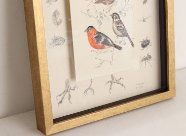 Vnitřek rámu je v černé, podklad pod obrazem naopak bílý 