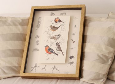 Dvoupatrový obraz plátků na papíře zasazený ve zlatém hlubokém rámu