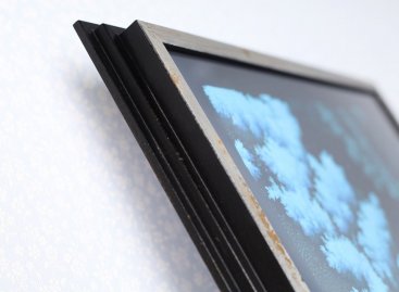 Rám moderního tvaru elegantních schůdků s obrazem Michala Bačáka Bažant ve Stromovce dokonale ladí