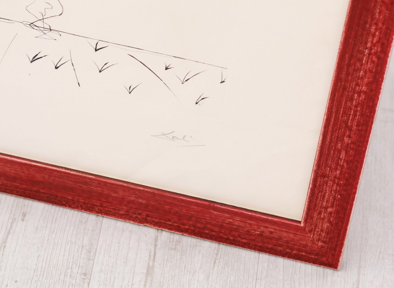 /WEB-galerie/02-grafika-tisk/dali-salvador/framboisier/cerveny-ram-litografie-salvador-dali-framboisier.jpg