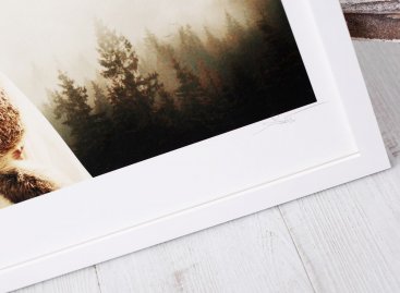 Fotografie Martina Stranky v moderním bílém rámu bez pasparty