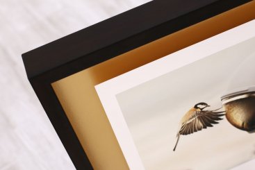 Moderní černý rám s fotografií Martina Stranky Dreamers and Warriors