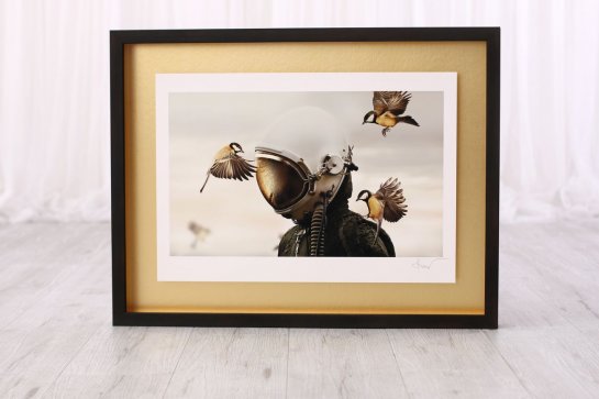 Fotografie Martina Stranky Dreamers and Warriors v moderním hlubokém prostorovém rámu a zlaté paspartě