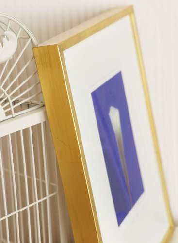 Luxusně vyzlacený úzký rám na fotografii Lily Roberta Vana je neobykle hluboký 