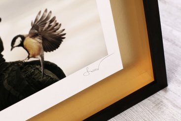 3D rámování fotografie Martina Stranky Dreamers and Warriors na zlaté paspartě s černým rámem