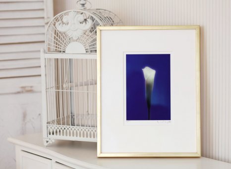 Elegantní rámování fotografie Robert Vano Lily do luxusního úzkého zlatého rámečku