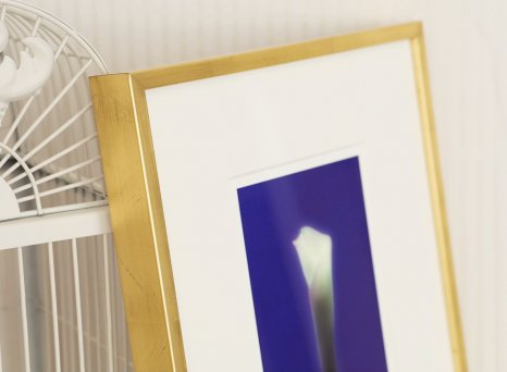 Neobvykle hluboká muzeální pasparta v bílé barvě fotografii Lily Roberta Vana dopřává dostatečný prostor