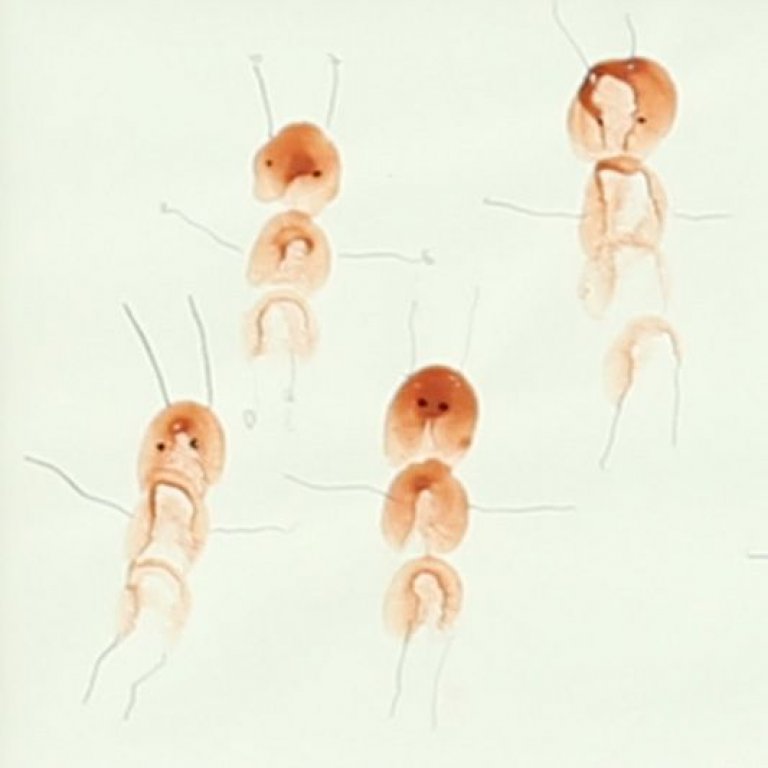 Detail prvníhop dětského obrazu malbou prstem na papír s motivem mravenců