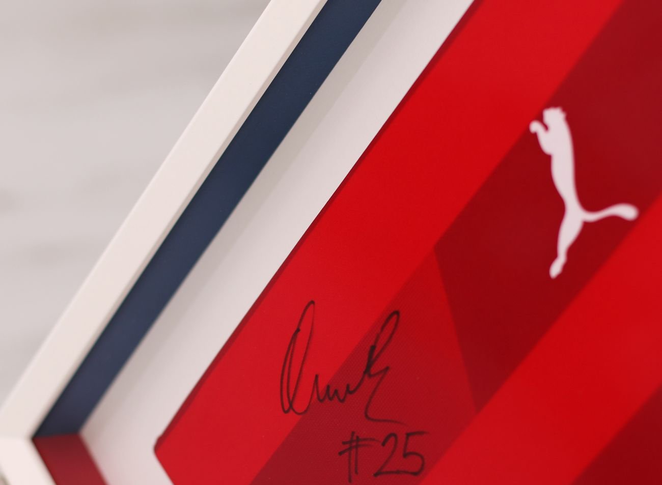 /WEB-galerie/06-dresy/0002_fotbal/Reprezentace%20%C4%8CR/Fotbal_dres_ramovani_detail.jpg