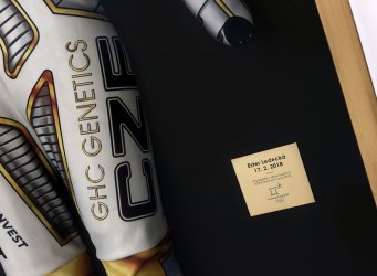 Prostorové rámování kombinézy Ester Ledecké, je doplněné o elegantní gravírovanou tabulku s informacemi