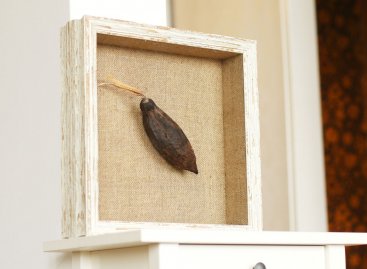 Prostorové 3D rámování suvenýru - kakaový bob