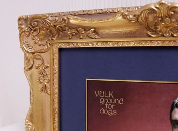 Detail rohového ornamentu a blondelového projmutí z orámování LP desky s modrou paspartou a zlatou filetou