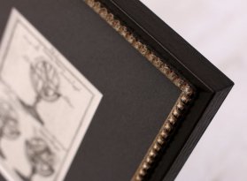 S tiskem skvěle ladí jemný hnědočerný rám s elegantním dekorem perliček